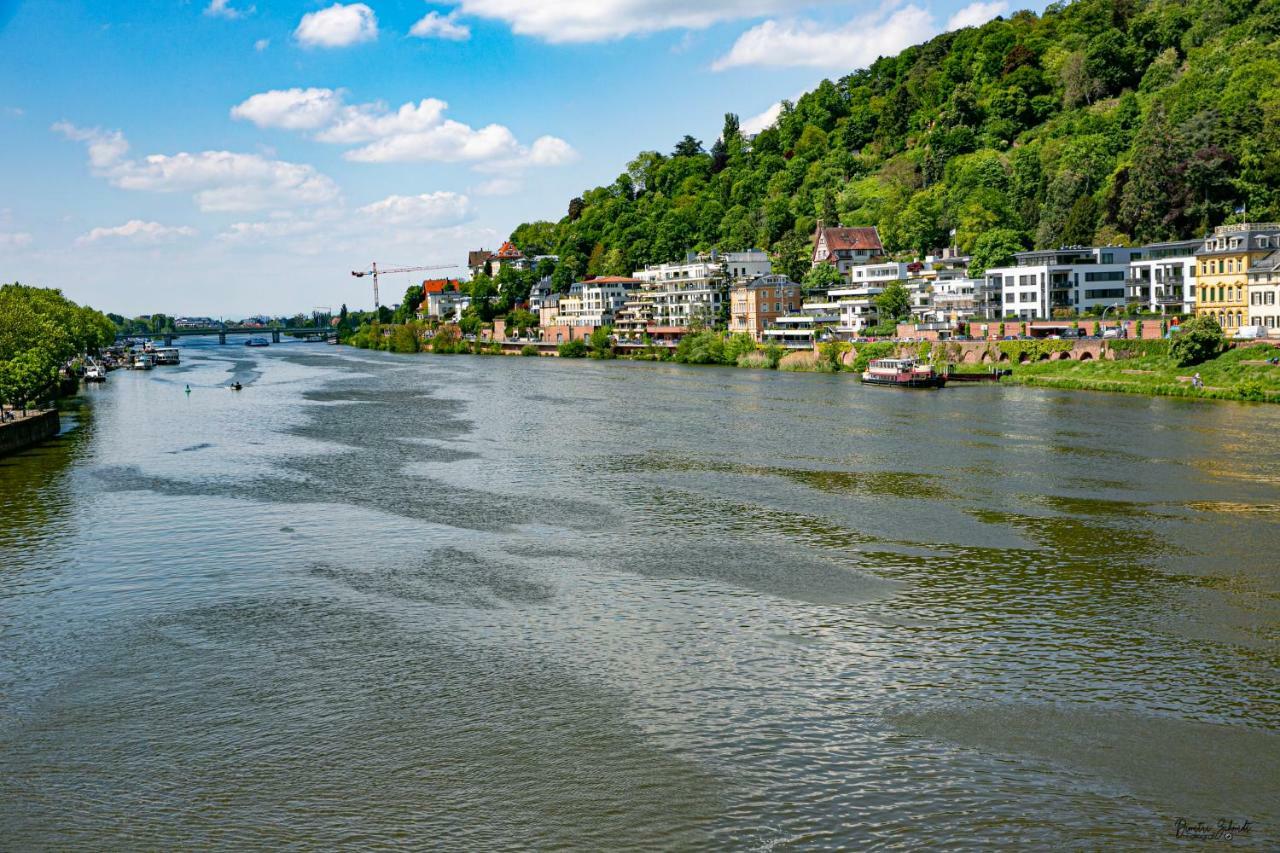 Bs Neckar Apartment Heidelberg Extérieur photo